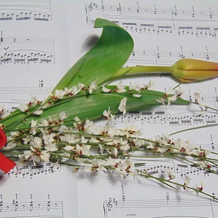 马鲁公寓 * 马泰拉