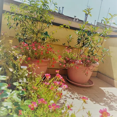 Malu * Matera